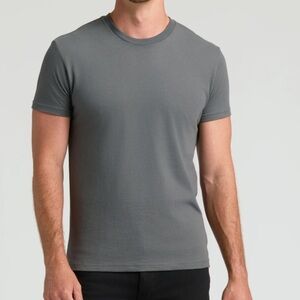 True classic crew neck classic fit carbon grey